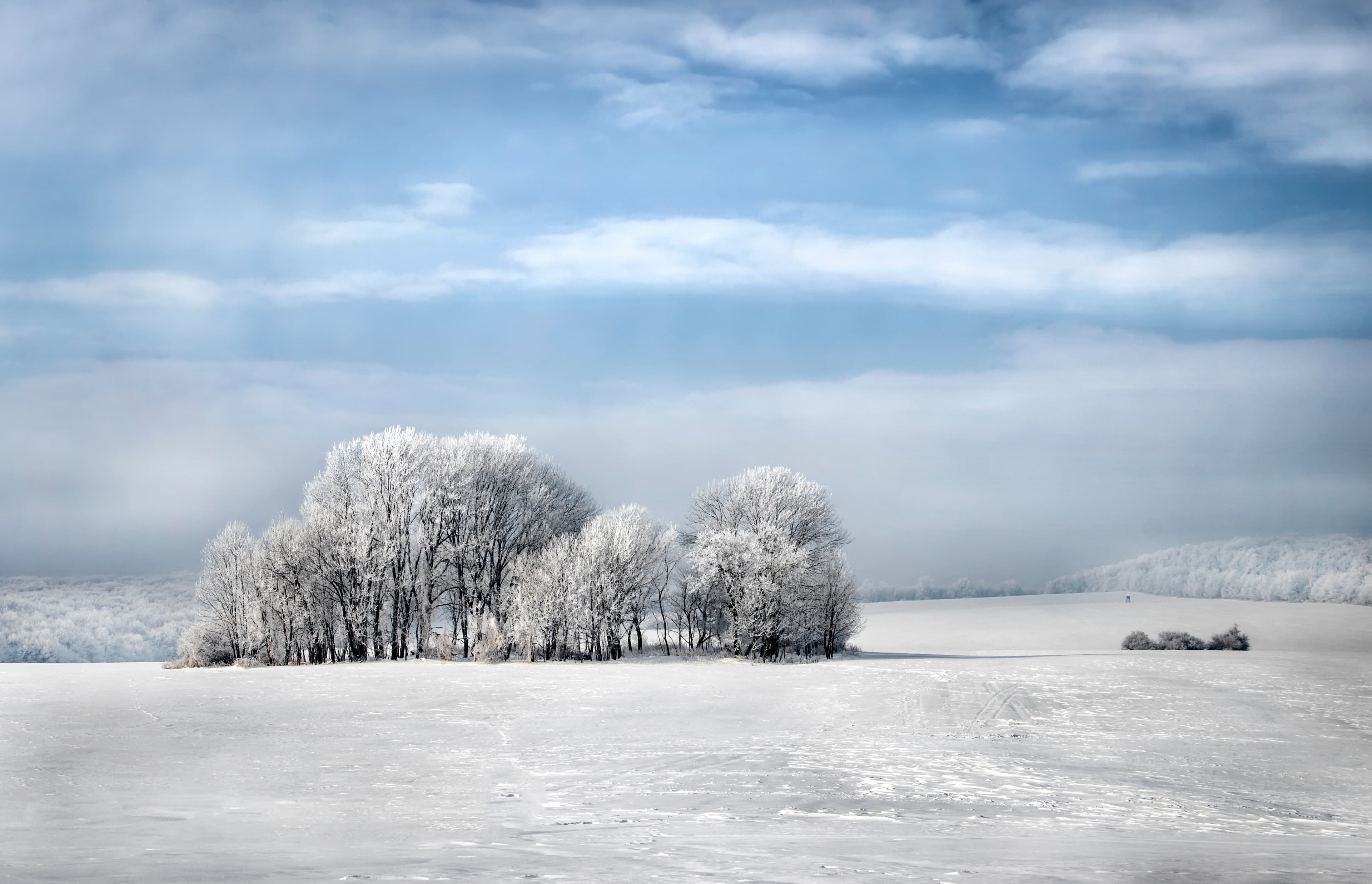 Oliver Portwood cover image